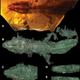 A) Fósil de Retinosaurus hkamtiensis incrustado en ámbar, B) Modelo 3D de las escamas dorsales del cuerpo, C) Detalle de las escamas ventrales de la cabeza, D y E) Vistas laterales de la cabeza. Reconstrucciones de TC de Edward Stanley utilizando datos de sincrotrón recopilados en Imaging and Medical Beamline en el Sincrotrón australiano en Melbourne